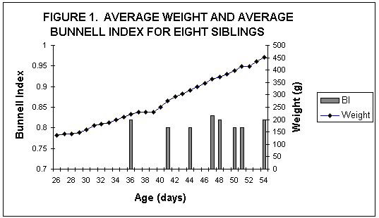 Hedgehog Weight Chart