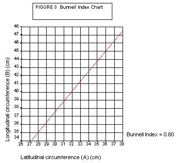 Hedgehog Weight Chart